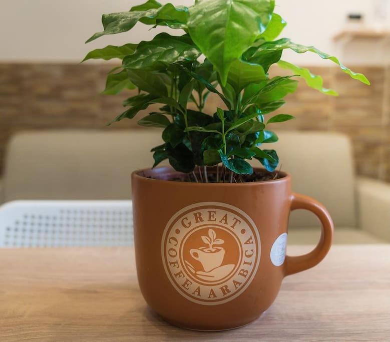 Apartamento Il Tempo Di Un Caffe Nápoles Exterior foto